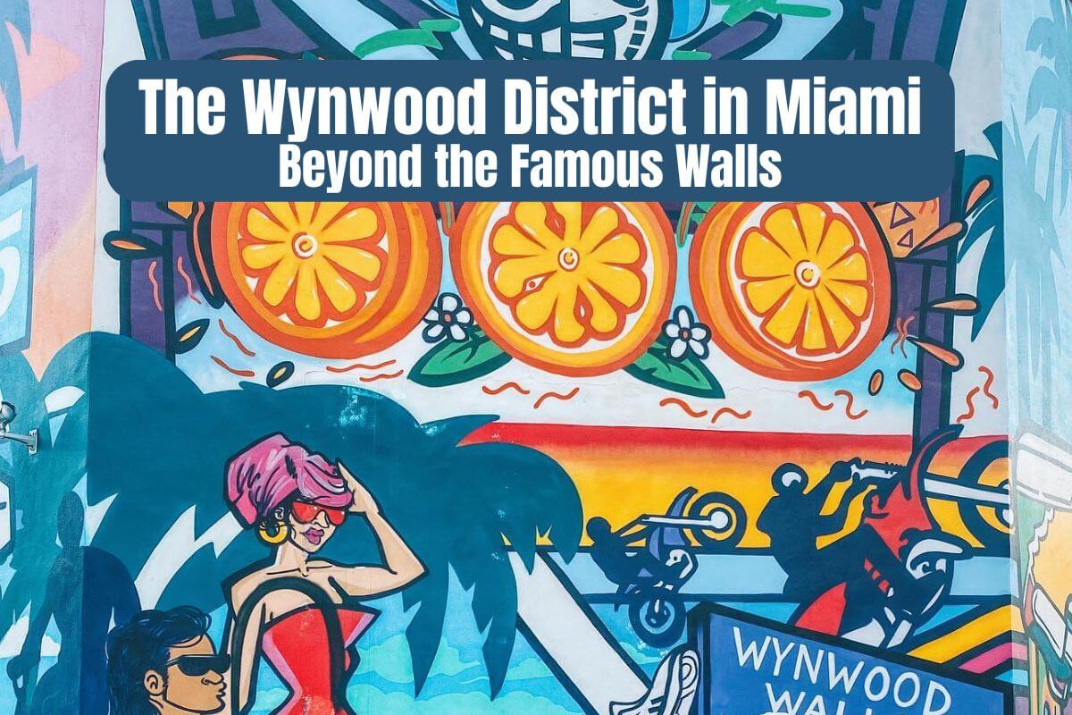 The Wynwood District in Miami Beyond the Famous Walls