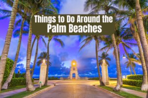 Things to Do Around the Palm Beaches