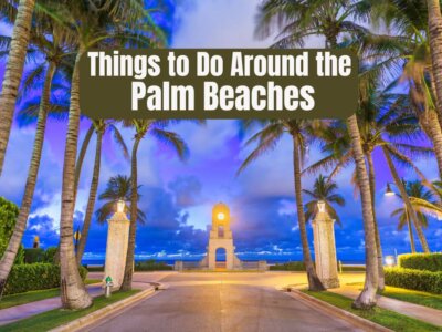 6 Fun Things to Do Around the Palm Beaches