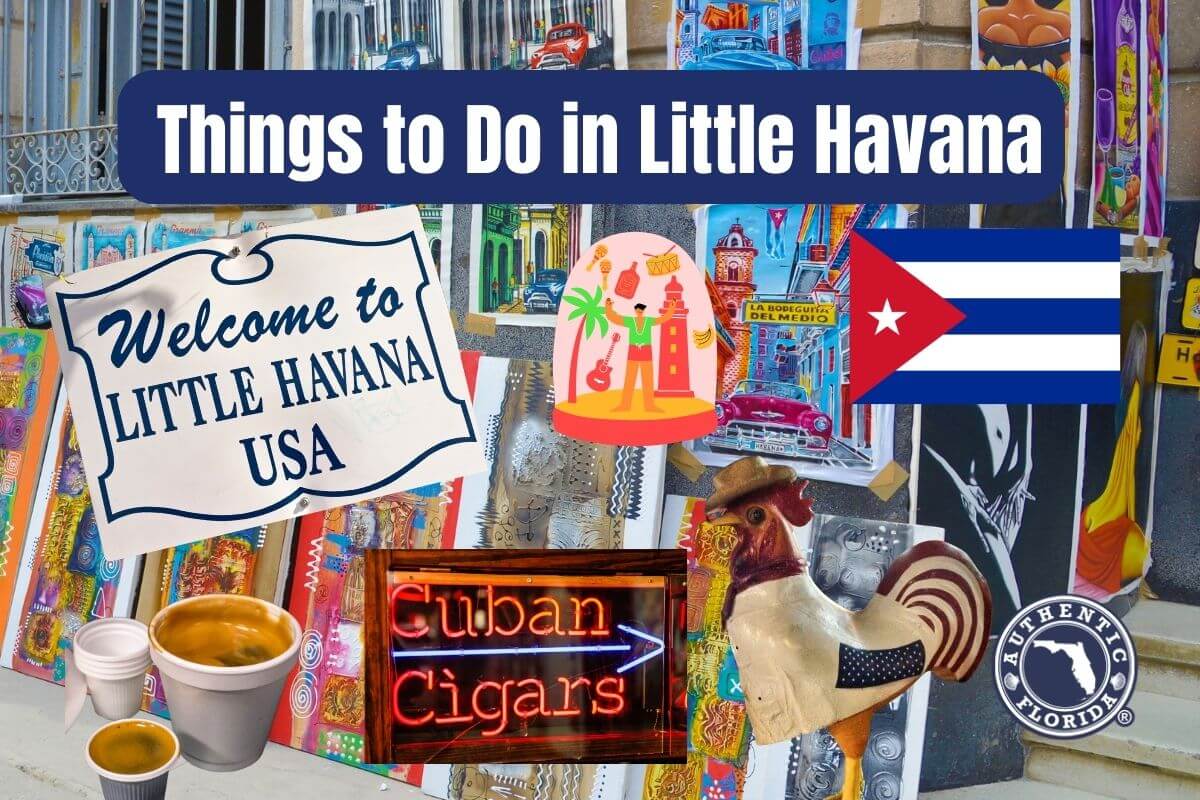 Things to Do in Little Havana