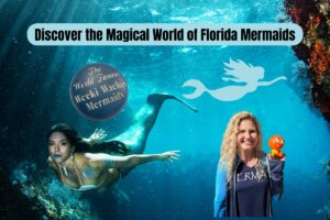 Discover the Magical World of Florida Mermaids