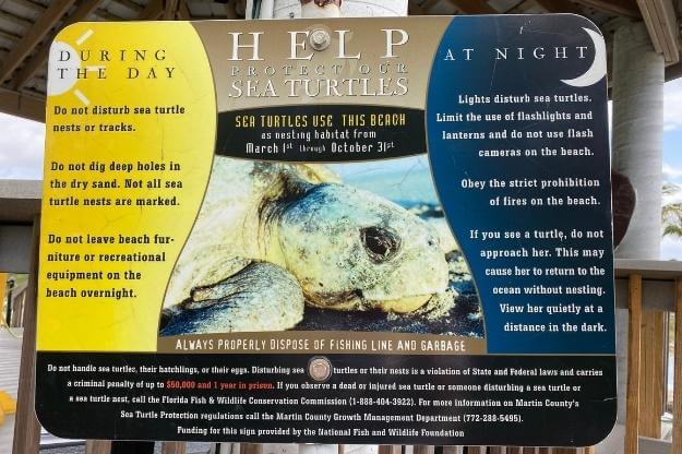 Photo of a Help Protect Sea Turtles sign in Stuart