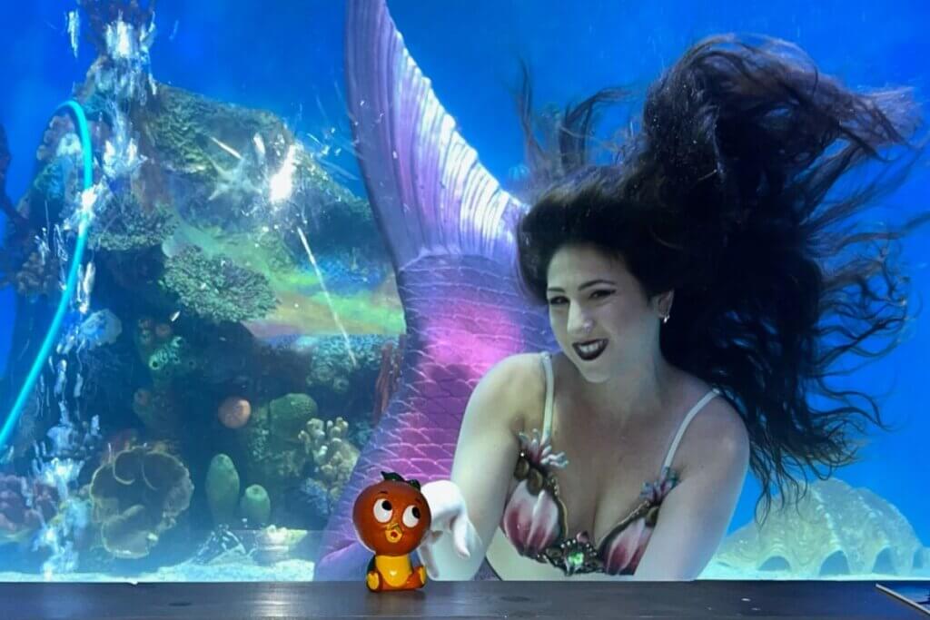 Mertailors Mermaid Aquarium Encounter Mermaid with Orange Bird