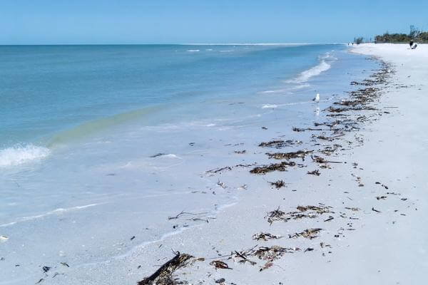 Siesta Key Best beaches in Southwest Florida. 