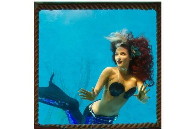 Mermaid in the water. 