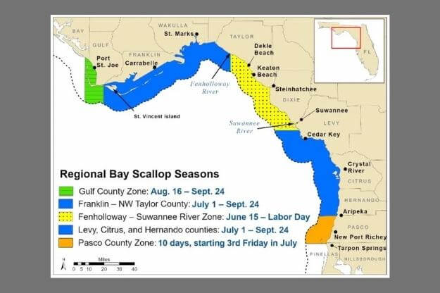 Photo of 2022 Florida Regional Bay Scallop Zones