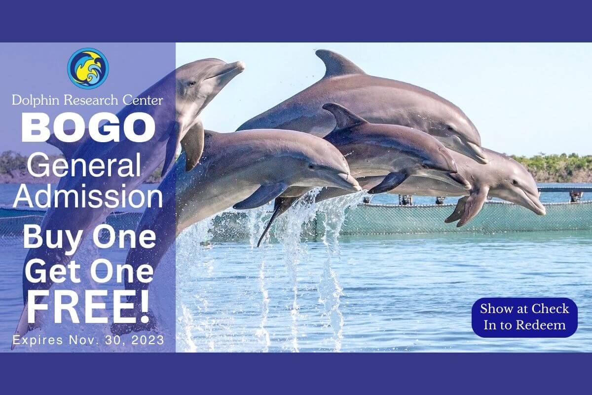 BOGO at Dolphin Research Center. 