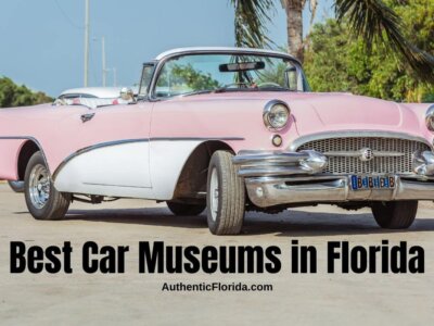 12 Best Car Museums in Florida (2024)