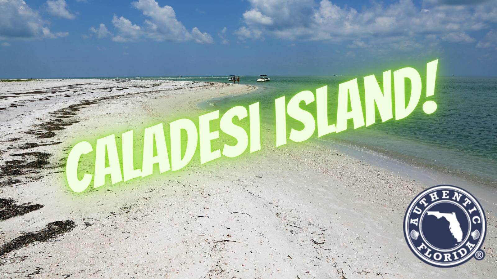 Caladesi Island Logo. 