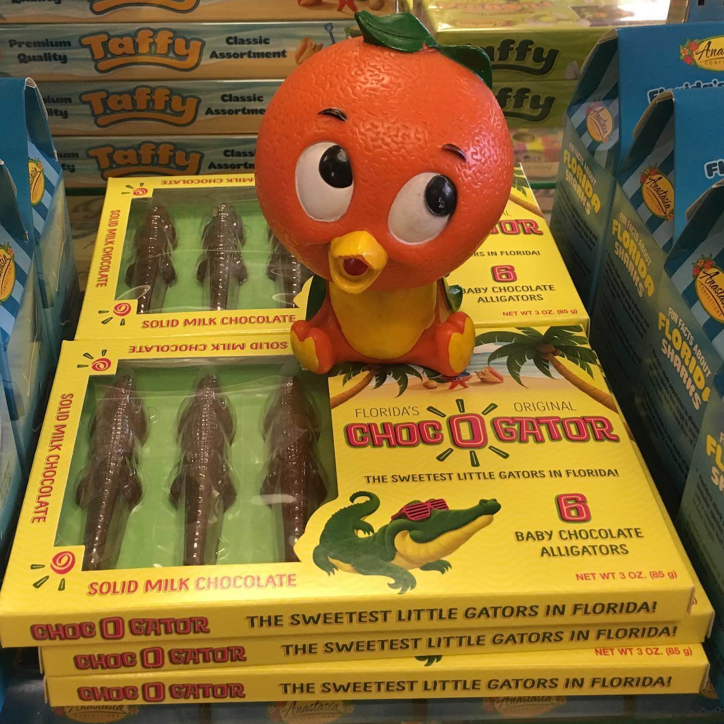 Orange bird is one of the famous Florida mascots 