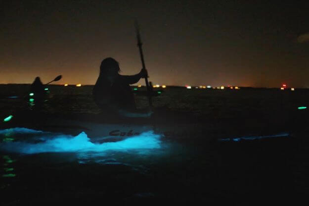 people kayaking at night