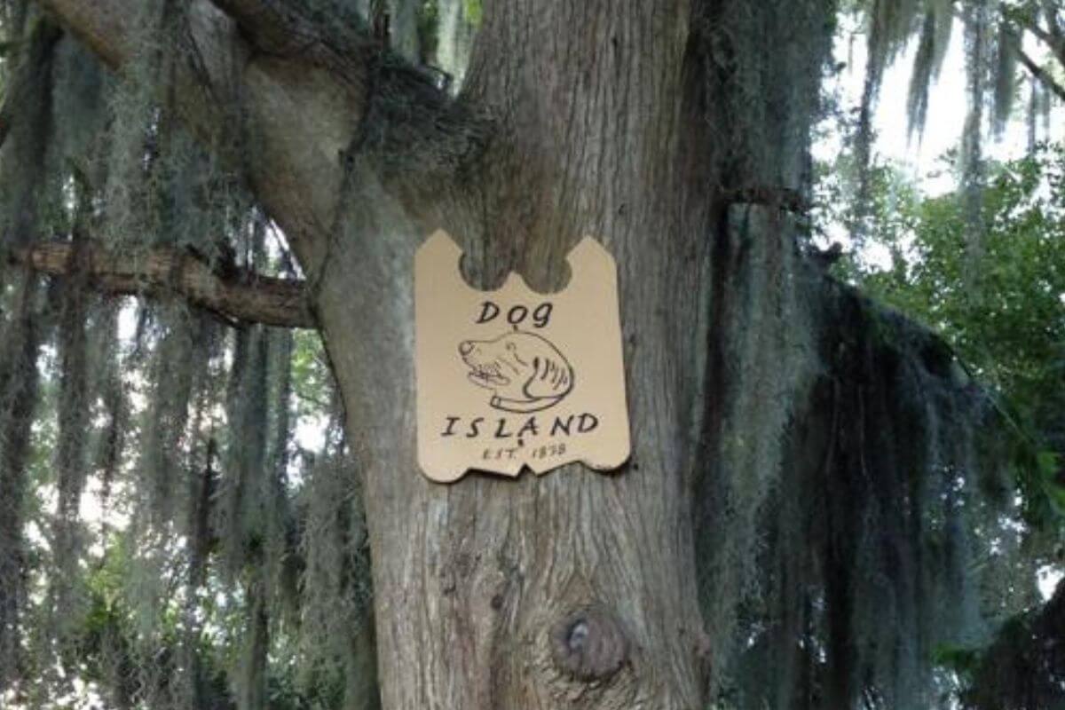 Dog Island sign in Lake Maitland.