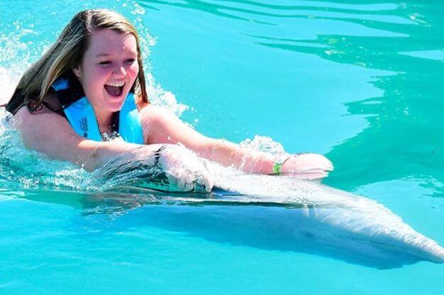 Girl swimming with dolphin. 