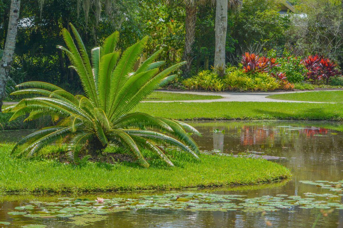 Things to do in Vero Beach include McKee Botanical Gardens