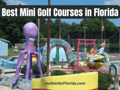 29 Best Mini Golf Courses in Florida