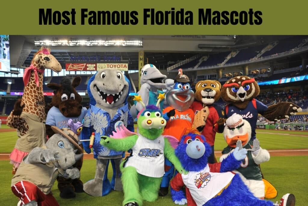 10 Most Famous Florida Mascots • Authentic Florida 3129