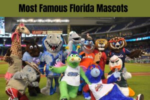 Most Famous Florida Mascots