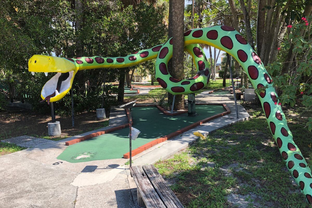 Snake at Polynesian Putter in St. Pete Beach