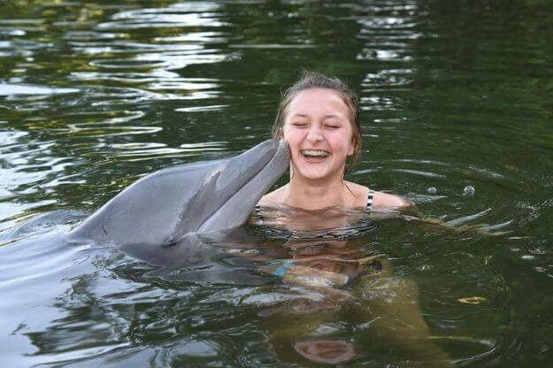 Dolphin kissing girl  for a swim with dolphins in the florida keys. 