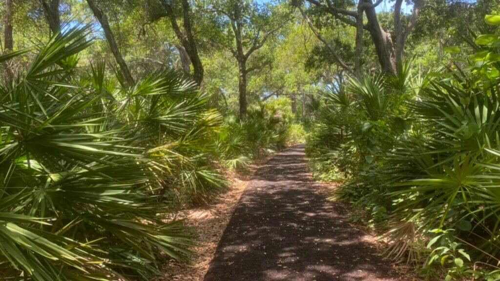 Photo of outdoor adventure trail for Authentic Florida