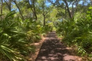 Photo of Walking Trail in Florida