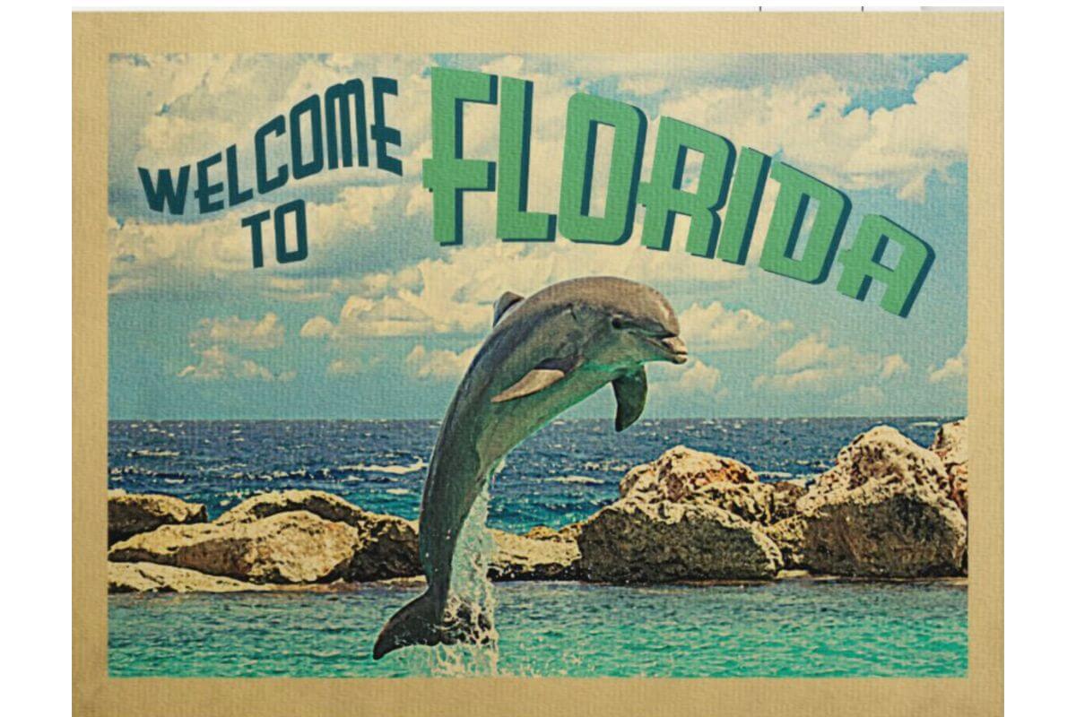 Welcome to Florida vintage postcard with a dolphin