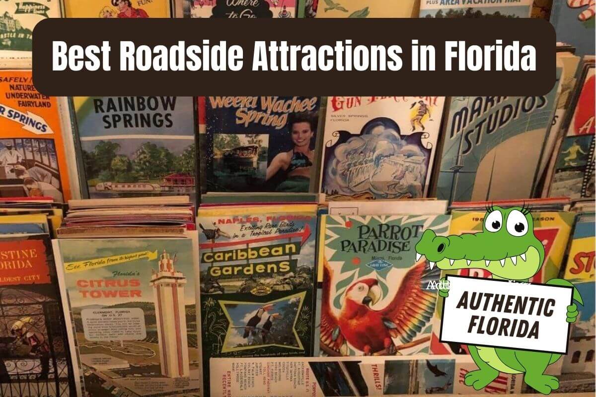 Best Roadside Attractions in Florida 2023