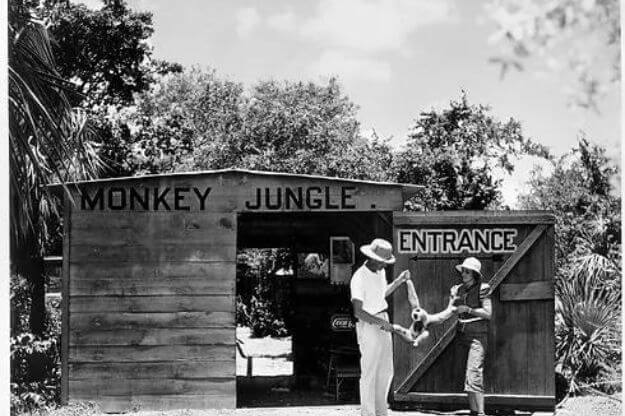 old entrance to Monkey Jungle