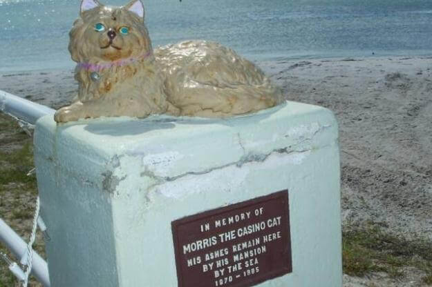 Cat statue with a sign that reads In Memory of Morris the Casino Cat, His ashes remain here by his mansion by the sea.