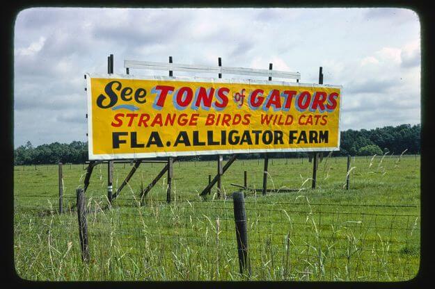 gator billboard