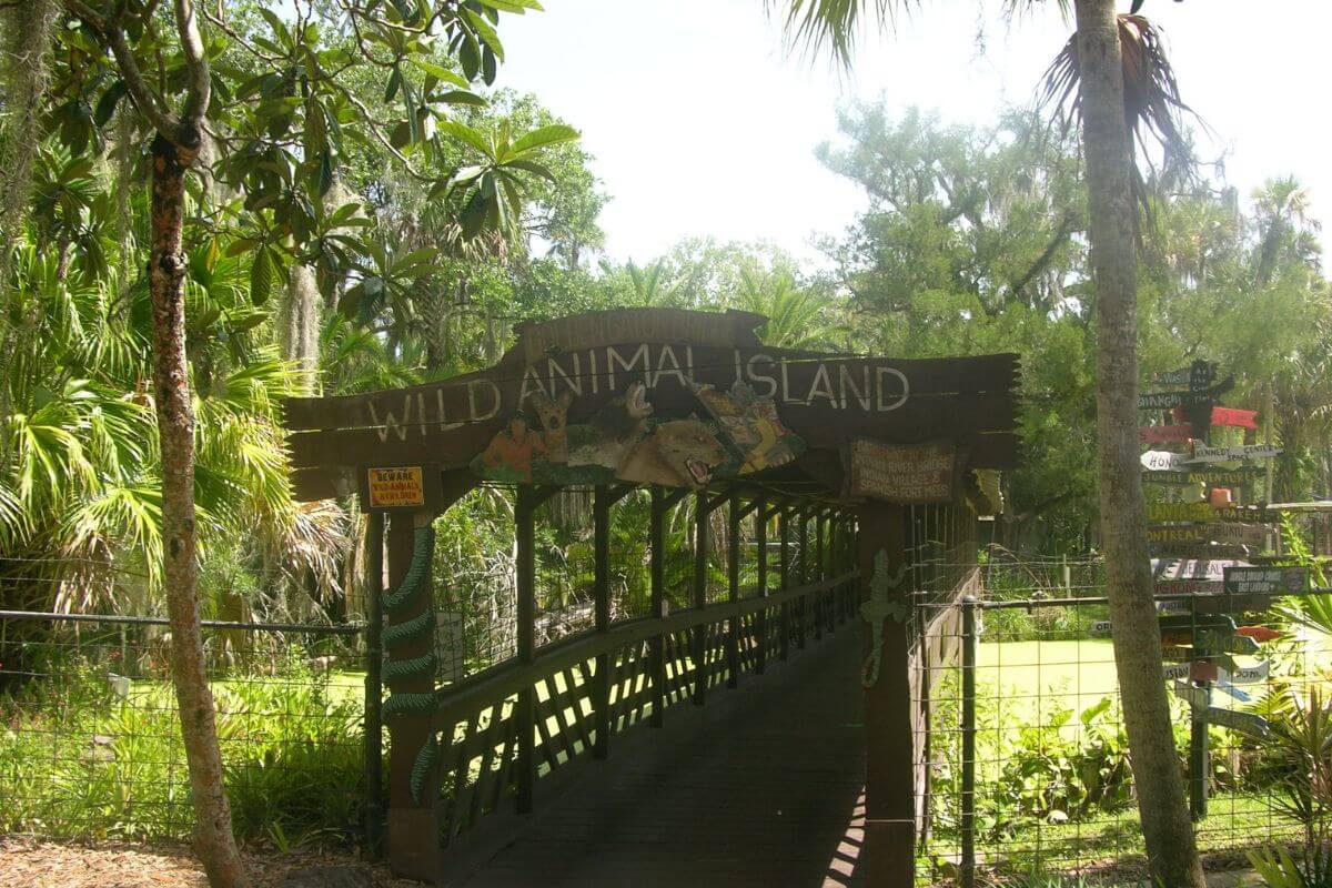 Wild Animal Island at Jungle Adventures in Christmas
