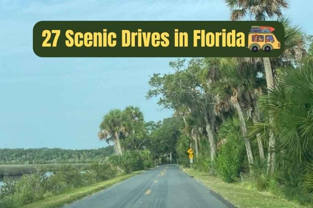 27 Scenic Drives in Florida for Your Road Trip Bucket List • Authentic Florida