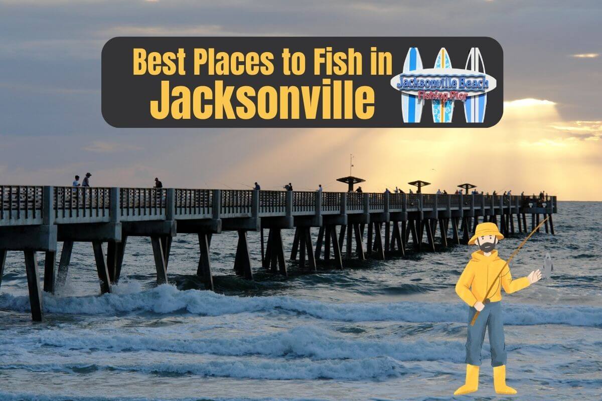 Best Places to Fish in Jacksonville featured image for Authentic Florida