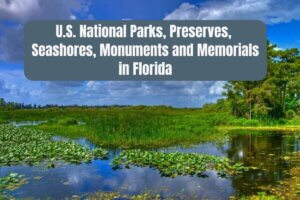 U.S. National Parks in Florida