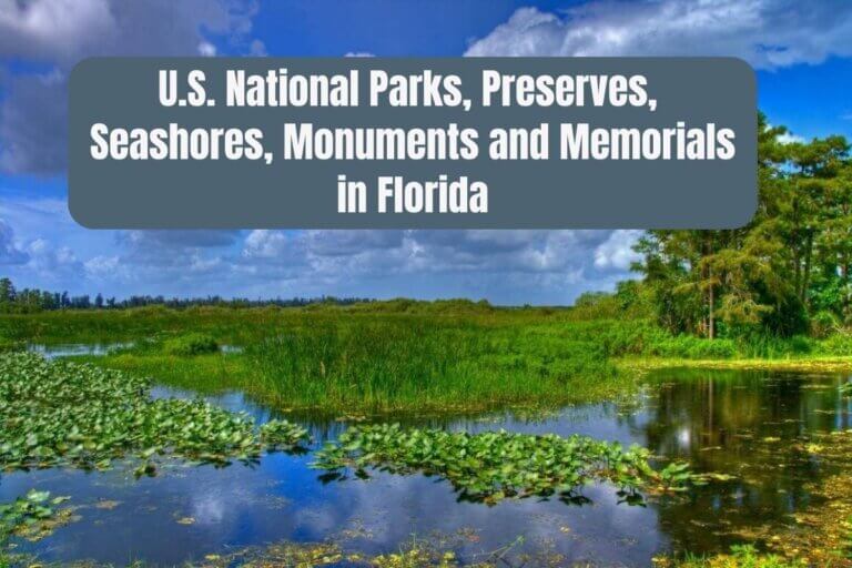 U.S. National Parks In Florida 768x512 