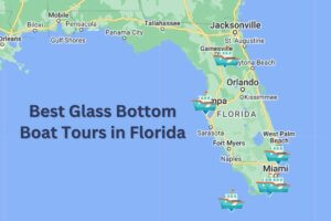 Best Glass Bottom Boat Tours in Florida