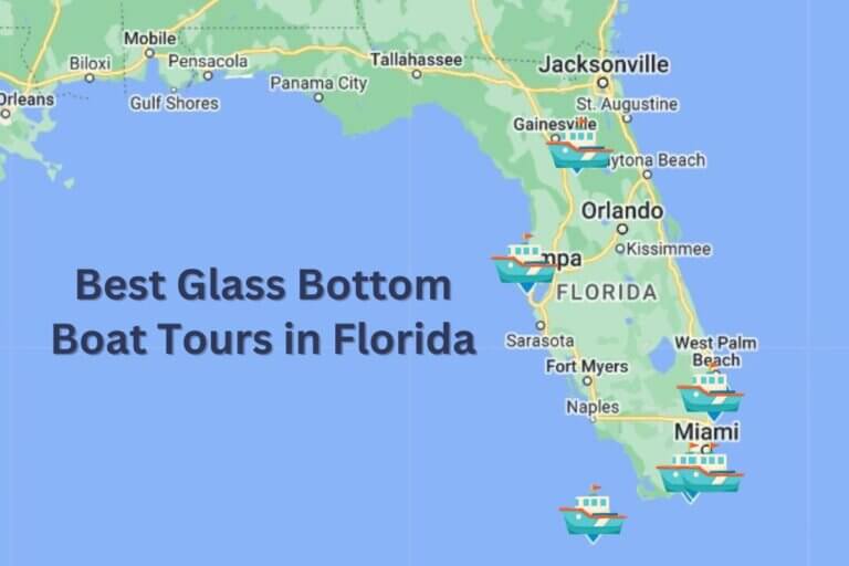6 Best Glass Bottom Boat Tours in Florida • Authentic Florida