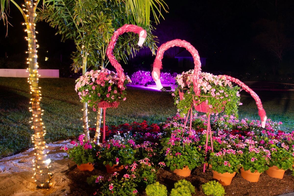 Dazzling Nights at Leu Gardens Flamingos