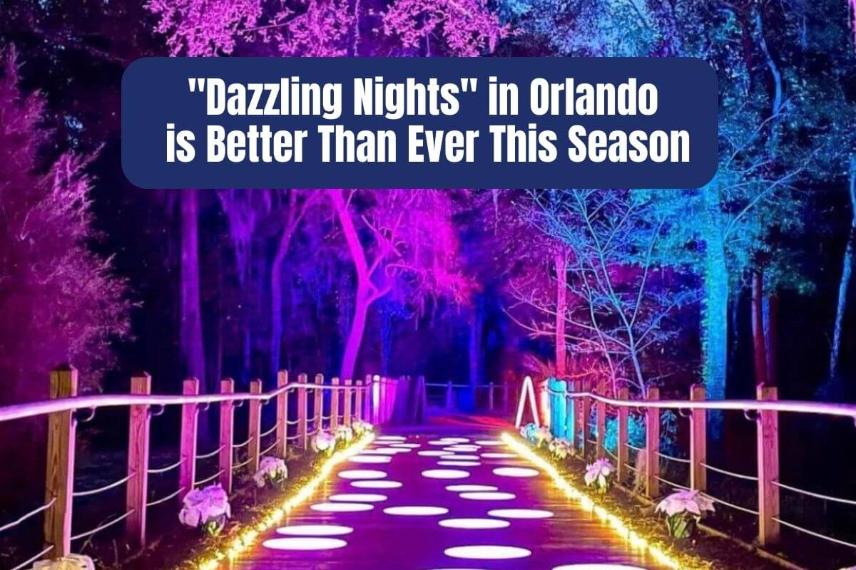 Dazzling Nights in Orlando is Better Than Ever This Season