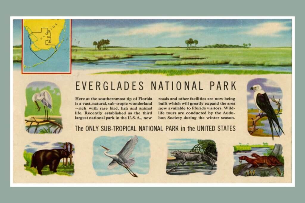 Everglades National Park Species List 