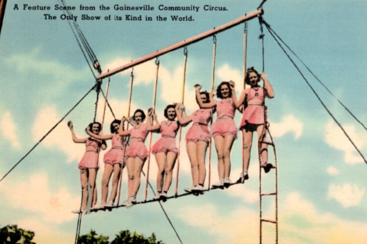 Gainesville Community Circus postcard. 