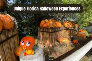 Unique Halloween Experiences in Florida in 2023 include Orange Bird posing in front of Gatorland decorations