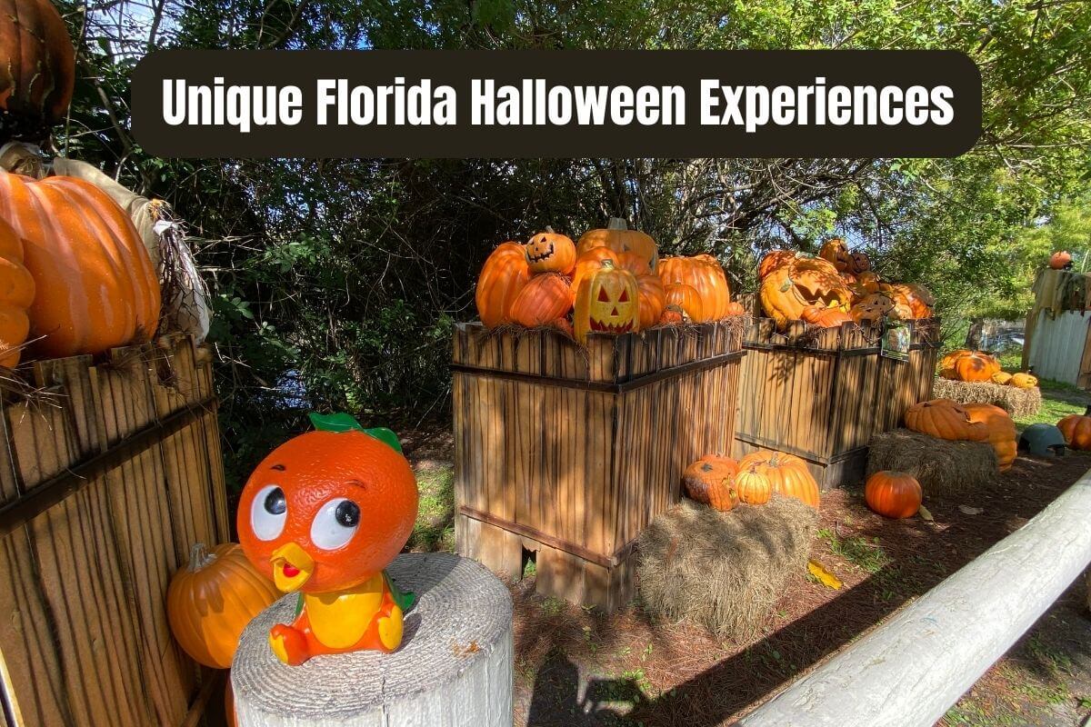 A guide to Halloween in South Florida