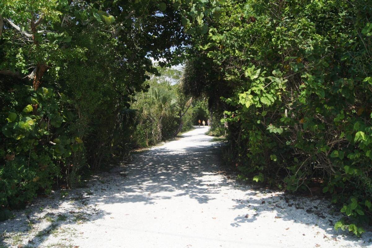 Sanibel Island walkway.
