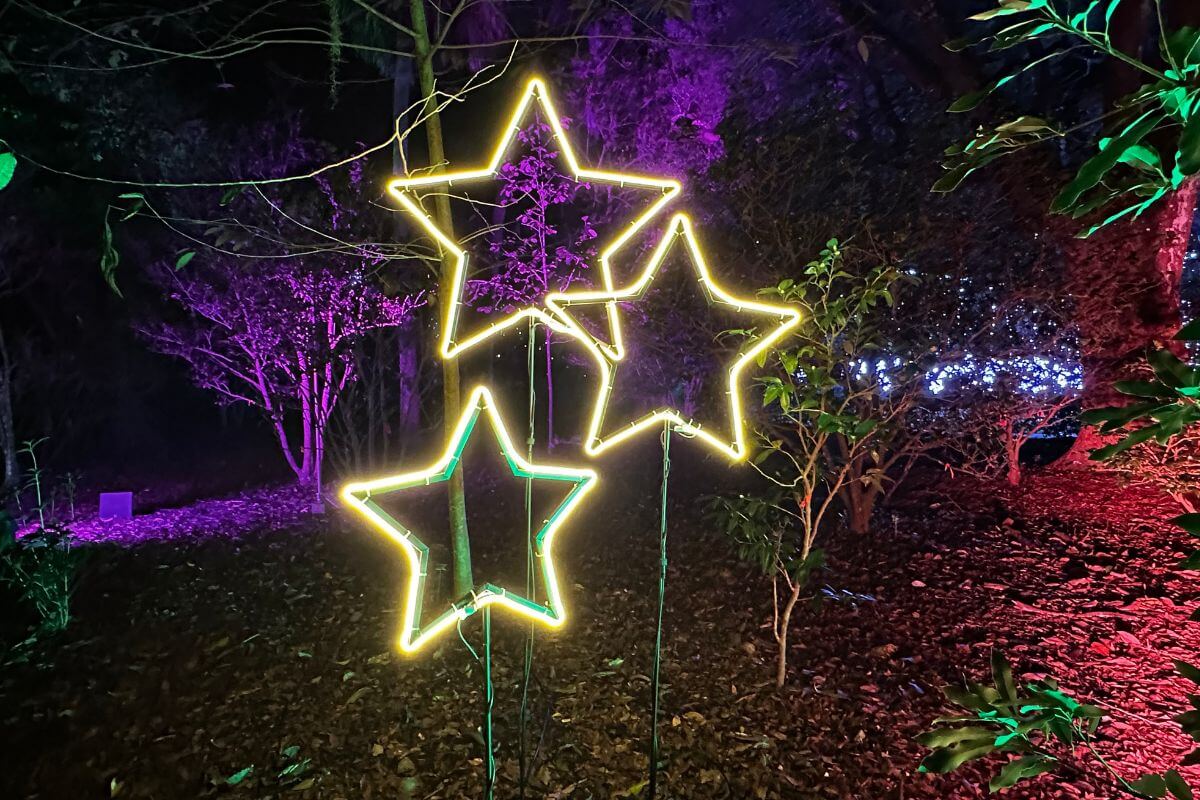 Stars at Dazzling Nights at Leu Gardens.