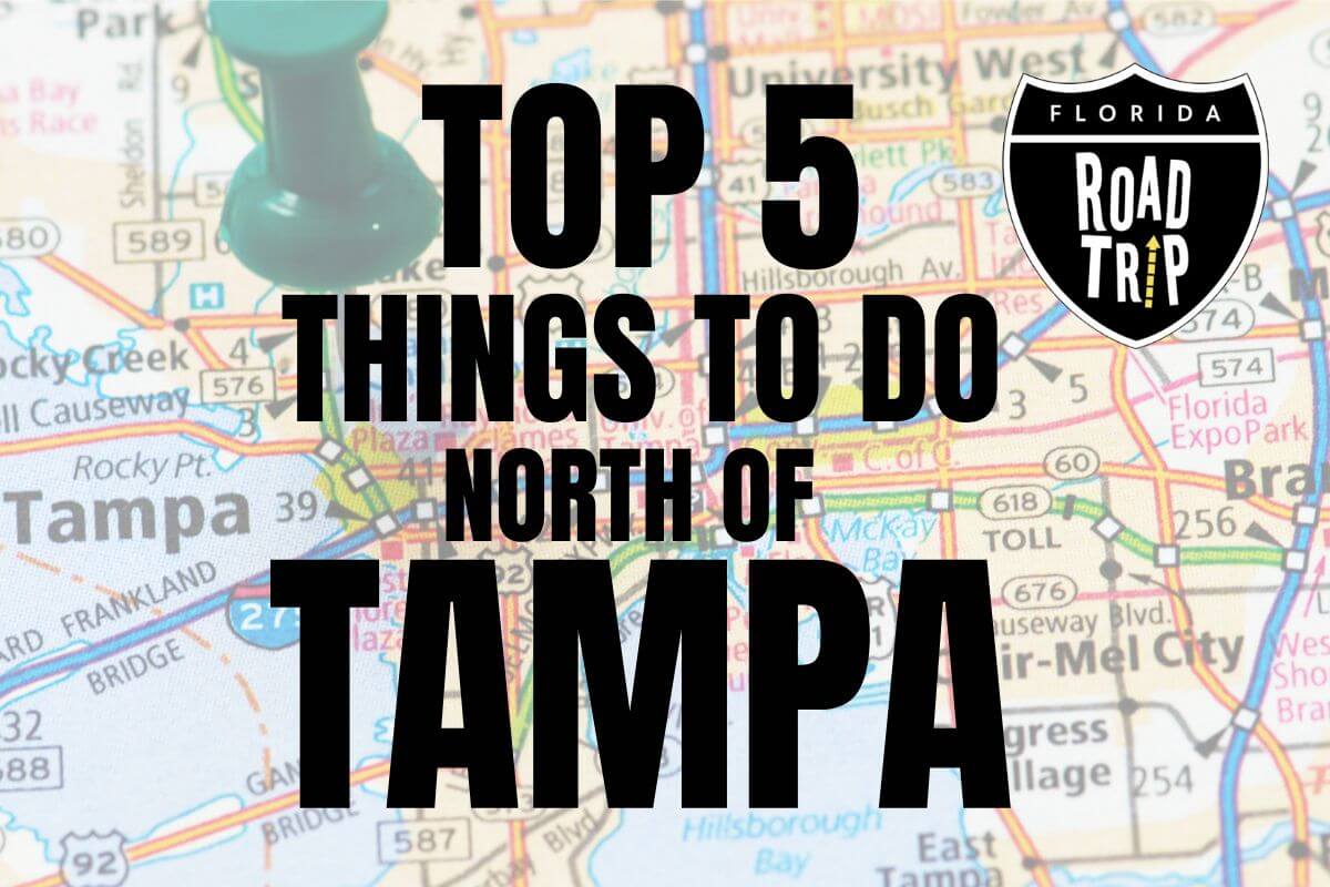 Top 5 Things to Do North of Tampa