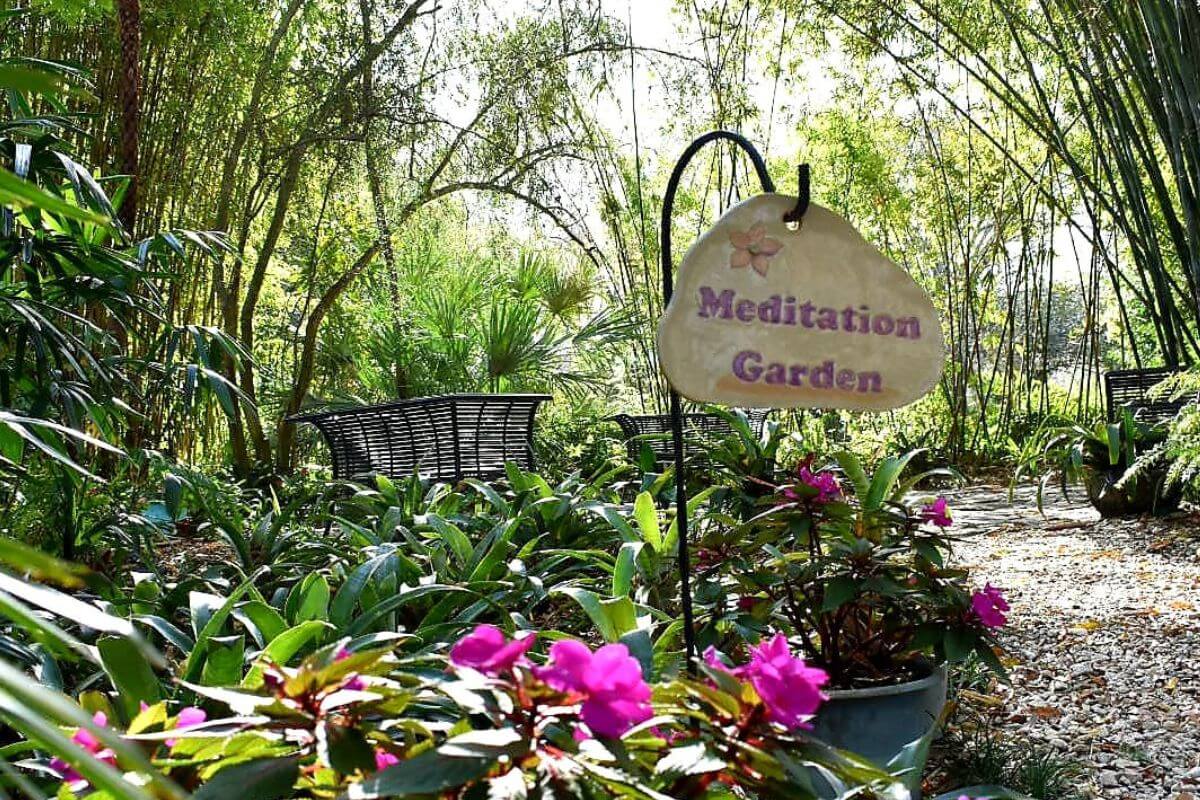 USF Botanical Garden Meditation Garden