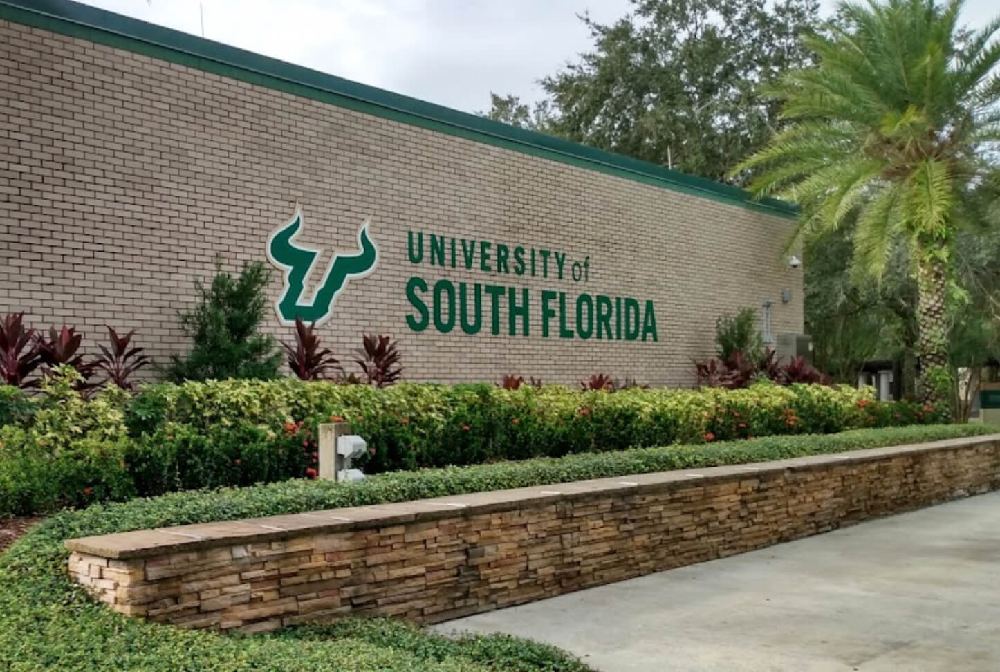 University of South Florida 