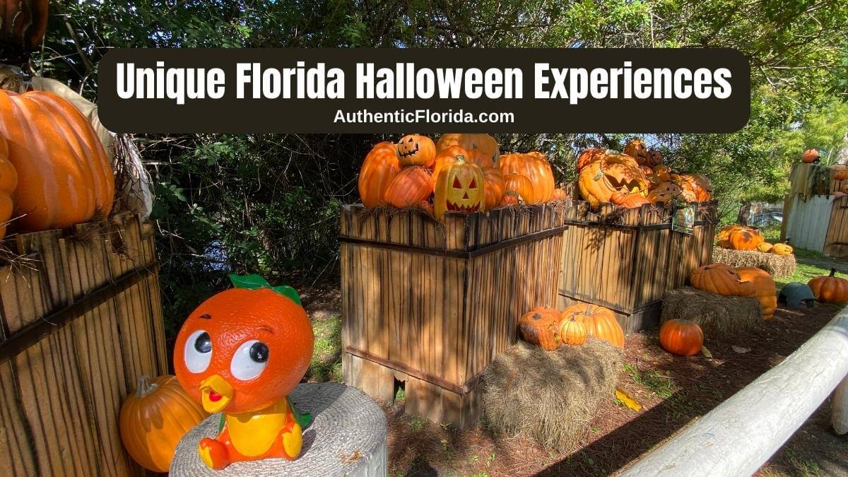 18 Unique Florida Halloween Experiences in 2024 • Authentic Florida