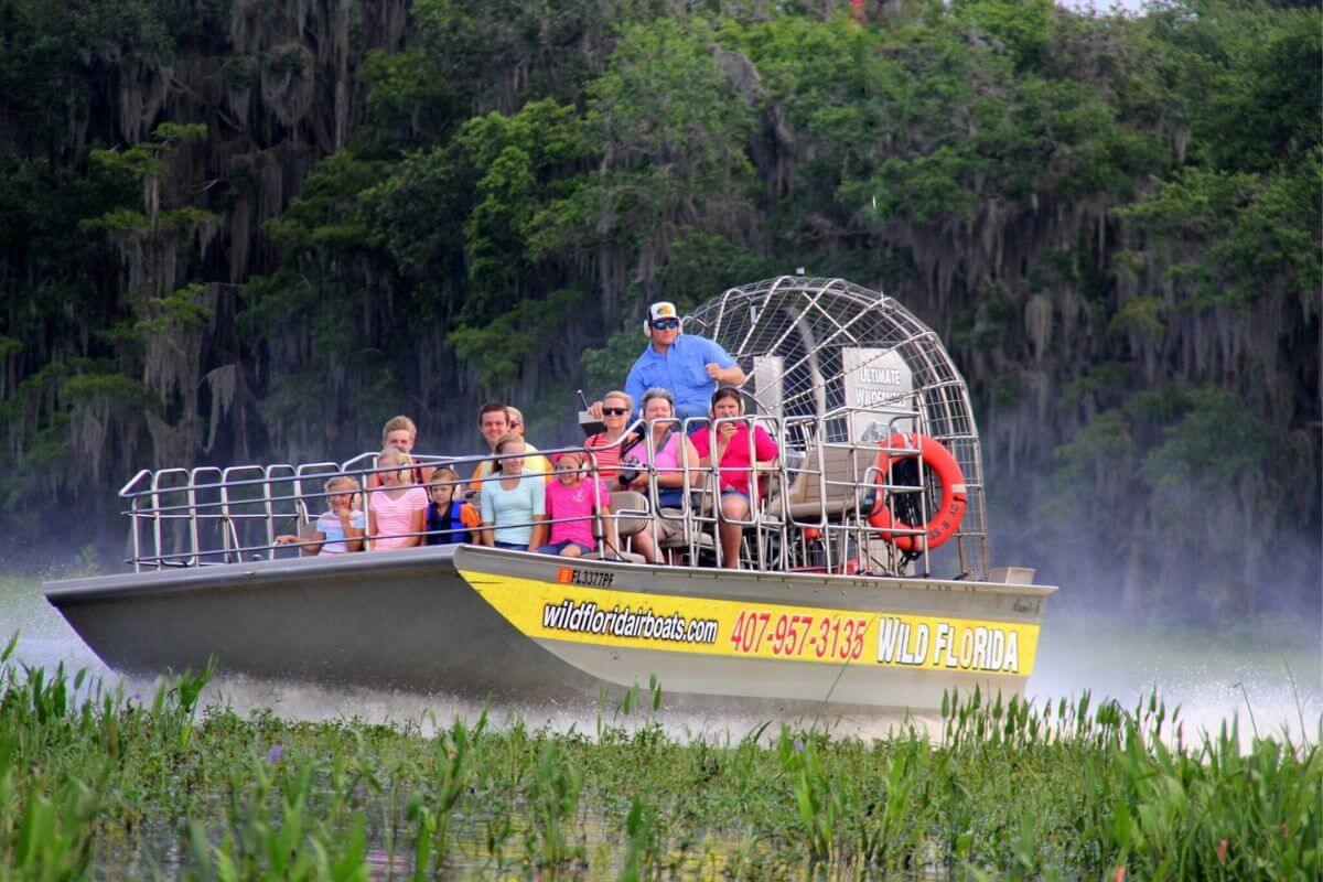 airboat tour in water